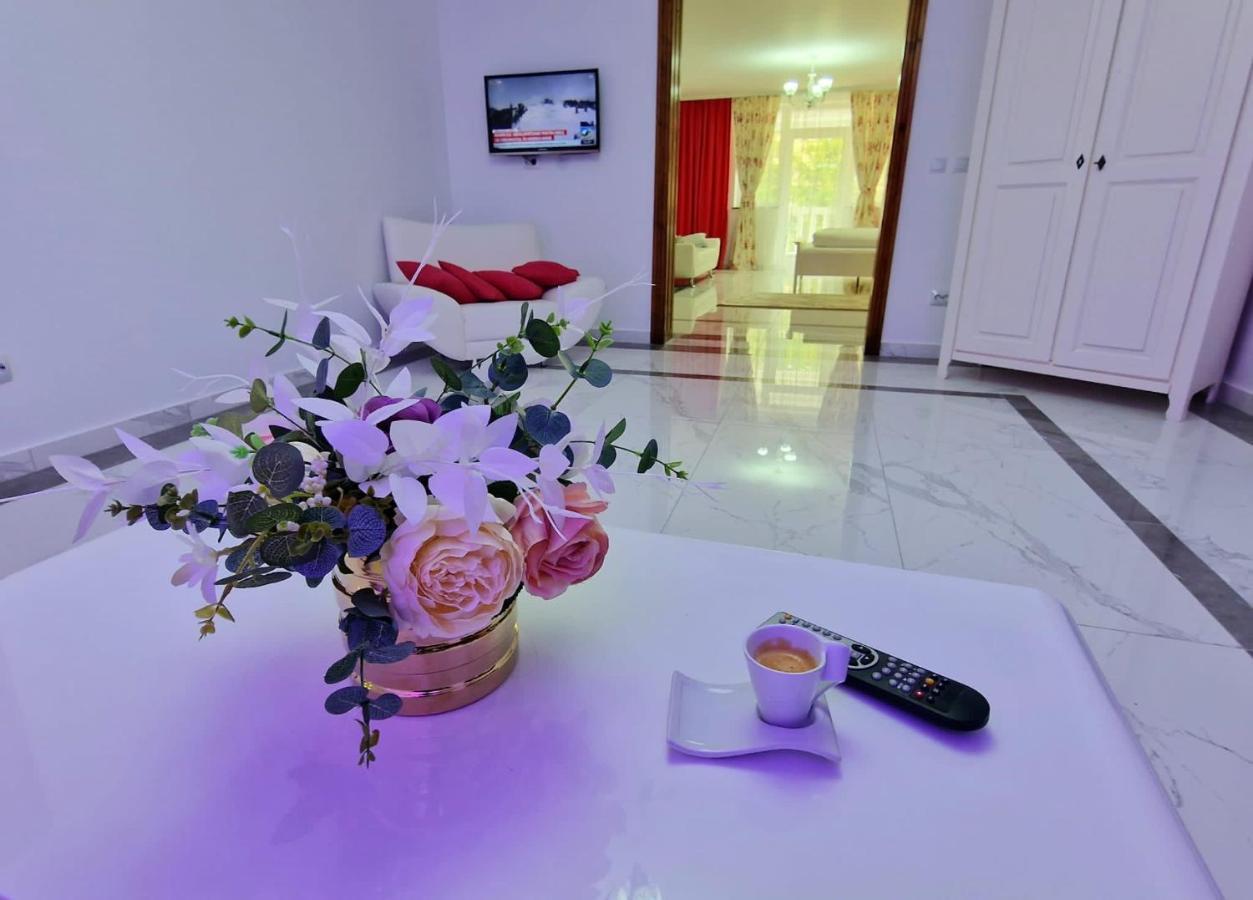 Готель Casa Avram Сучевіца Екстер'єр фото